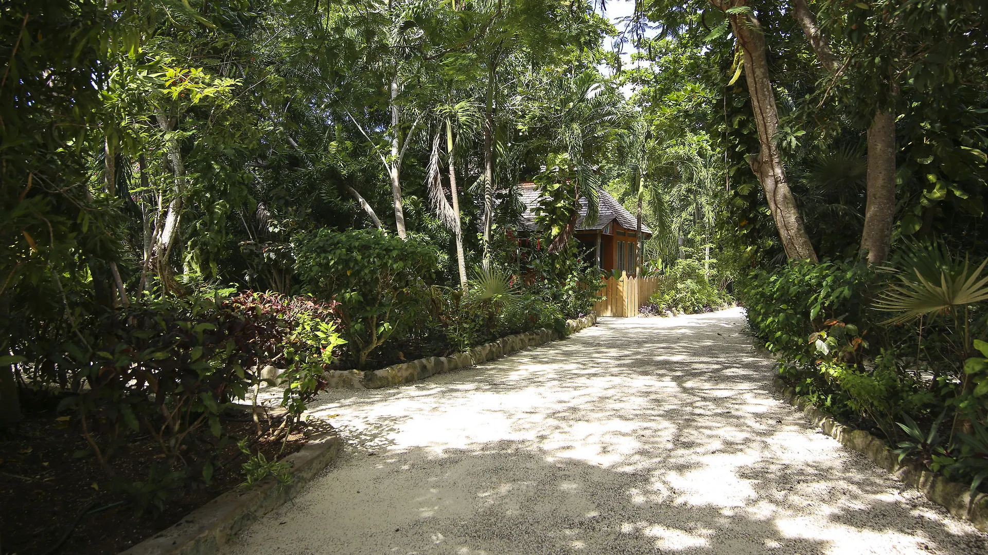 Hotel Tingalayas Retreat Negril